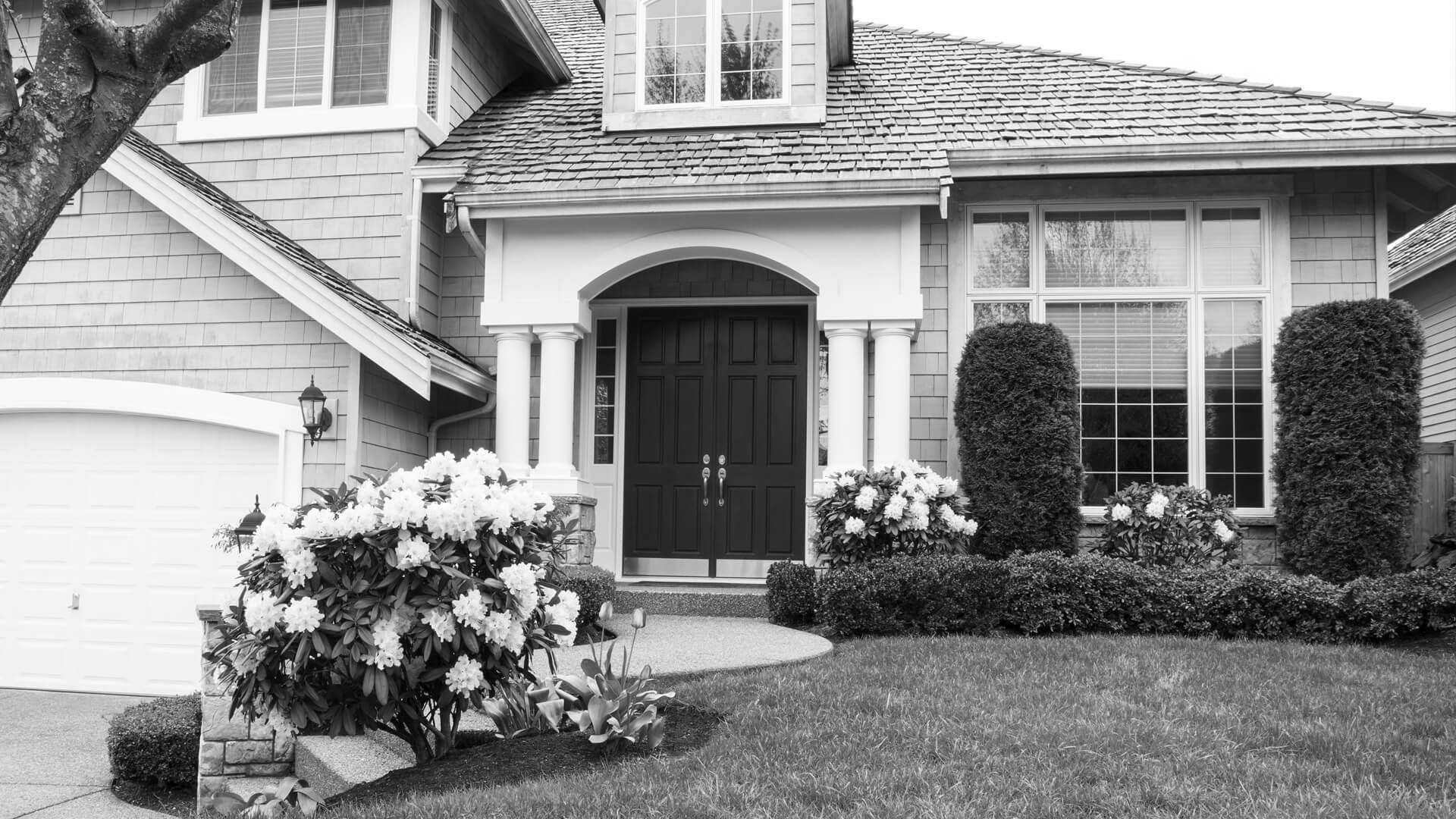 curb bg image
