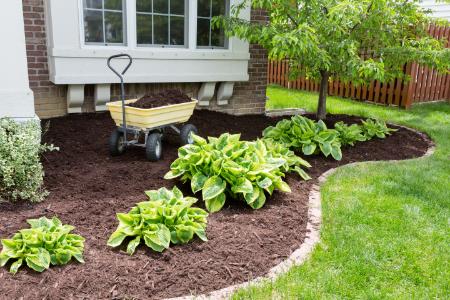 Landscaping